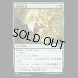 集団的防衛/Collective Resistance [MH3]