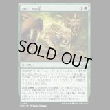 カロニアの牙/Fangs of Kalonia [MH3]