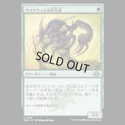 画像1: ワイアウッドの共生虫/Wirewood Symbiote [MH3]