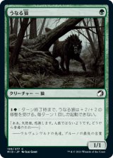 うなる狼/Snarling Wolf [MID]