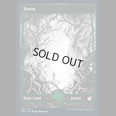 画像1: [FOIL] 森/Forest(277) [MID]