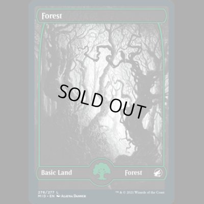 画像1: [FOIL] 森/Forest(276) [MID]