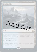 難破船の湿地/Shipwreck Marsh [MID]