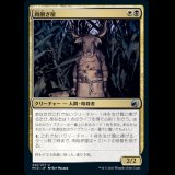 肉削ぎ屋/Fleshtaker [MID]