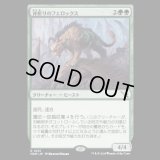 斧折りのフェロックス/Axebane Ferox [MKM]
