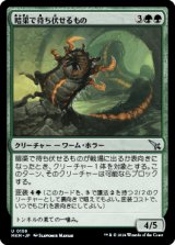 暗渠で待ち伏せるもの/Culvert Ambusher [MKM]