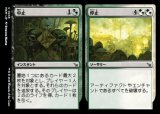 中止 + 停止/Cease + Desist [MKM]