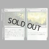 中止 + 停止/Cease + Desist [MKM]