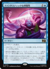 ファンタスティックな伸縮性/Fantastic Elasticity  [MSC]