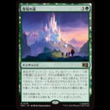 発見の道/Path of Discovery [MSC]