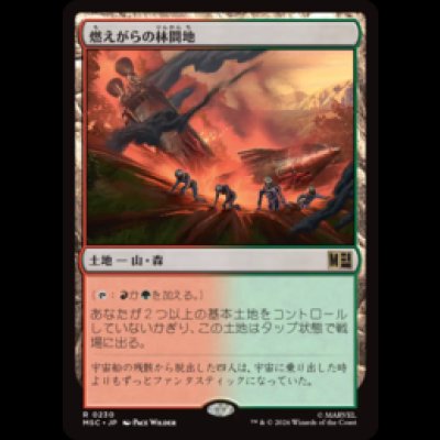 画像1: 燃えがらの林間地/Cinder Glade  [MSC]