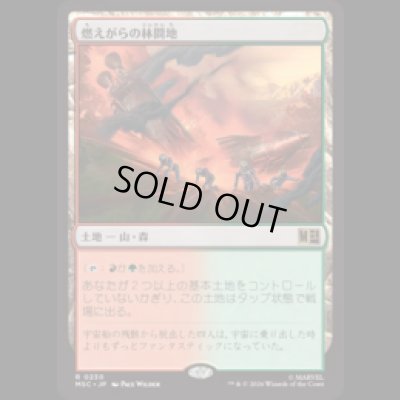 画像1: 燃えがらの林間地/Cinder Glade  [MSC]