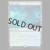 水浸しの新緑/Sodden Verdure  [MSC]