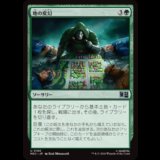 地の変幻/Terramorph  [MSC]