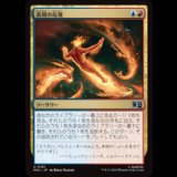 表現の反復/Expressive Iteration [MSC]