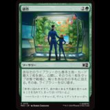 耕作/Cultivate [MSC]