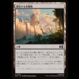 進化する未開地/Evolving Wilds  [MSC]