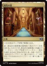 祖先の道/Path of Ancestry  [MSC]