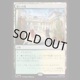 集いの場/Gathering Place  [MSH]