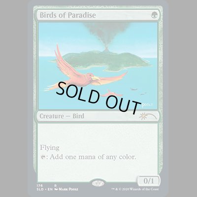 画像1: 極楽鳥/Birds of Paradise [SLD]