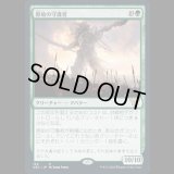原始の守護者/Primeval Protector [NEC]