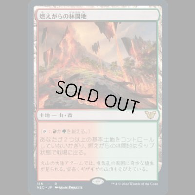 画像1: 燃えがらの林間地/Cinder Glade [NEC]