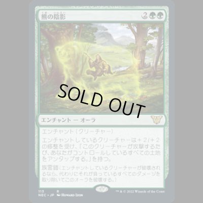 画像1: 熊の陰影/Bear Umbra [NEC]