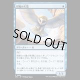 侵略の大梟/Harrier Strix [OTJ]