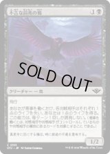 不吉な前兆の鴉/Raven of Fell Omens [OTJ]