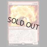 [FOIL] 倍火/Amplifire [RNA]