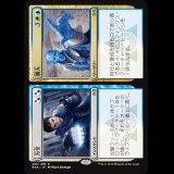 万全+番人/Warrant+Warden [RNA]