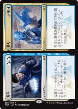 万全+番人/Warrant+Warden [RNA]