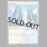 [FOIL] 神聖なる泉/Hallowed Fountain [RNA]