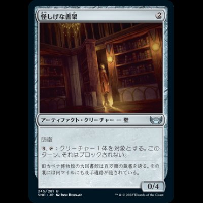 画像1: 怪しげな書架/Suspicious Bookcase [SNC]