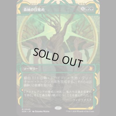 画像1: 森林の目覚め/Awaken the Woods [SOA]