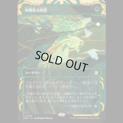 画像1: 垣間見る自然/Glimpse of Nature [SOA]