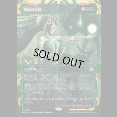 画像1: 巫師の天啓/Shamanic Revelation [SOA]