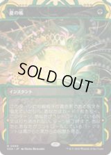 夏の帳/Veil of Summer [SOA]