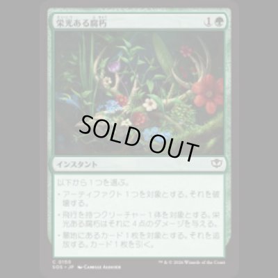 画像1: 栄光ある腐朽/Glorious Decay [SOS]