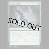 神託者の回復術/Oracle's Restoration [SOS]