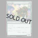 店主の災難/Shopkeeper's Bane [SOS]