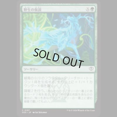 画像1: 野生の仮説/Wild Hypothesis [SOS]