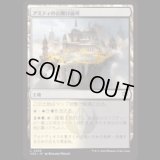 アミティの公開討論所/Forum of Amity [SOS]