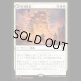 修復授業/Restoration Seminar [SOS]