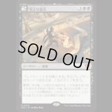端正な論文/Decorum Dissertation [SOS]