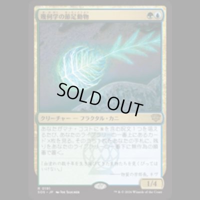 画像1: 幾何学の節足動物/Geometer's Arthropod [SOS]