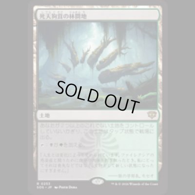 画像1: 死天狗茸の林間地/Deathcap Glade [SOS]