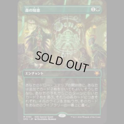 画像1: 森の知恵/Sylvan Library [SOSSPG]