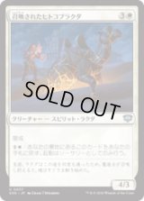 召喚されたヒトコブラクダ/Summoned Dromedary [SOS]