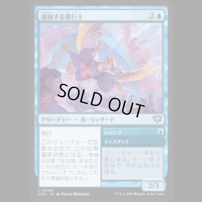 画像1: 激励する飛行士/Encouraging Aviator [SOS]